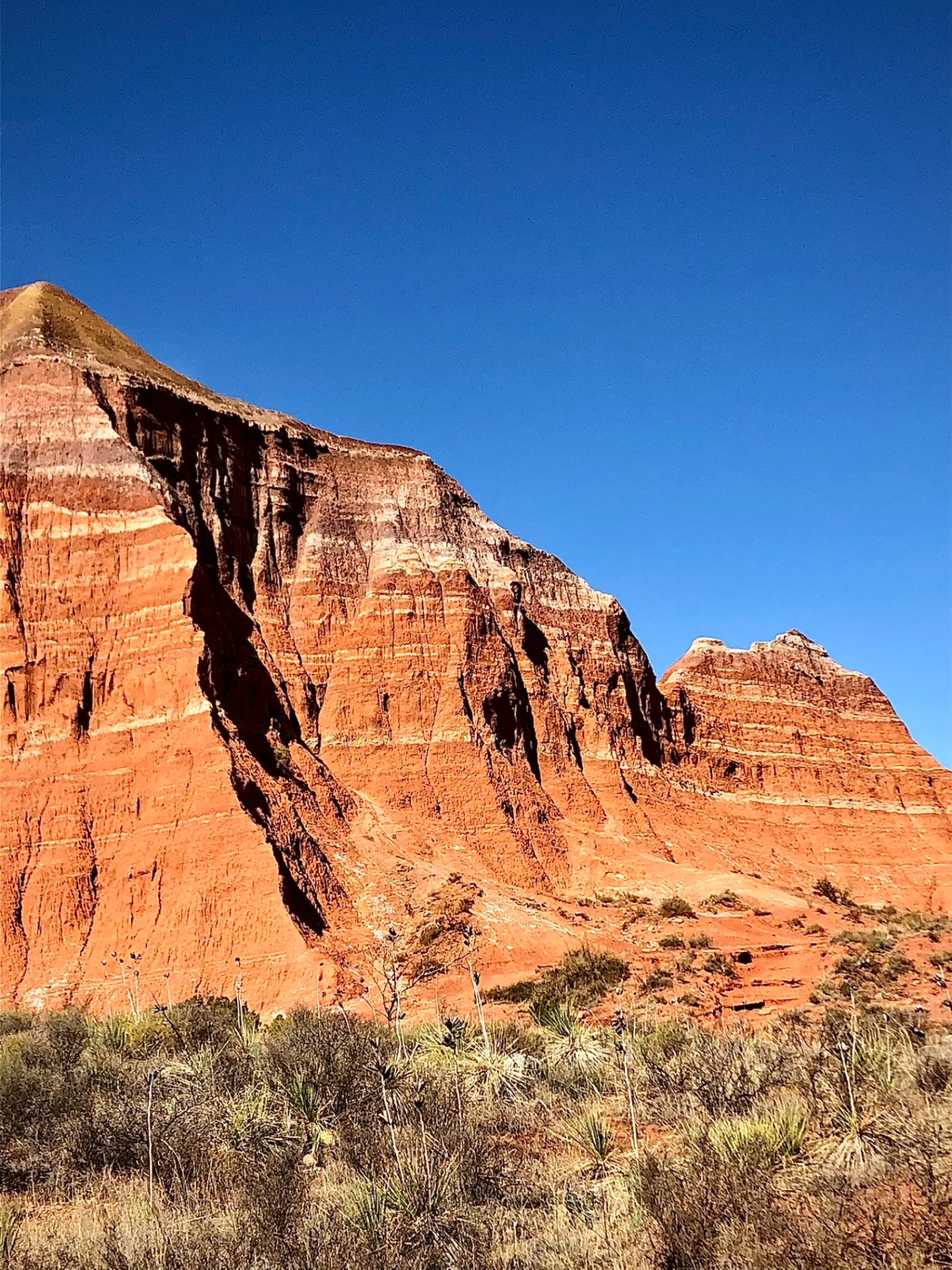 Palo Duro Red Cliff