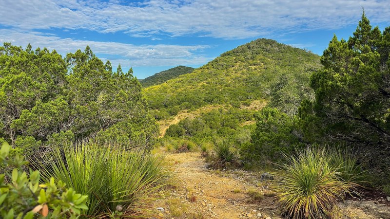 Trail to the Green Hills