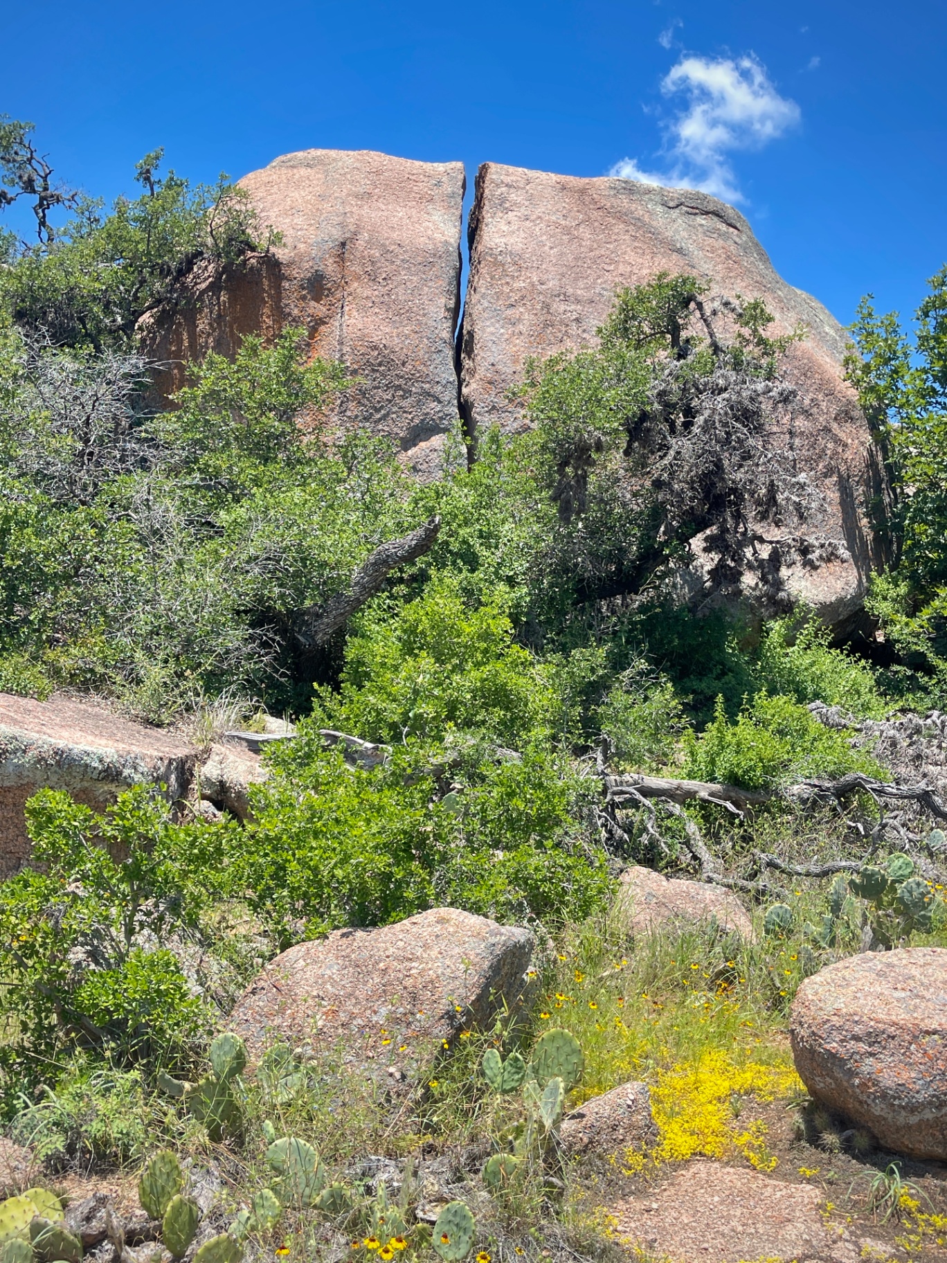 Enchanted Rock Granite Dome