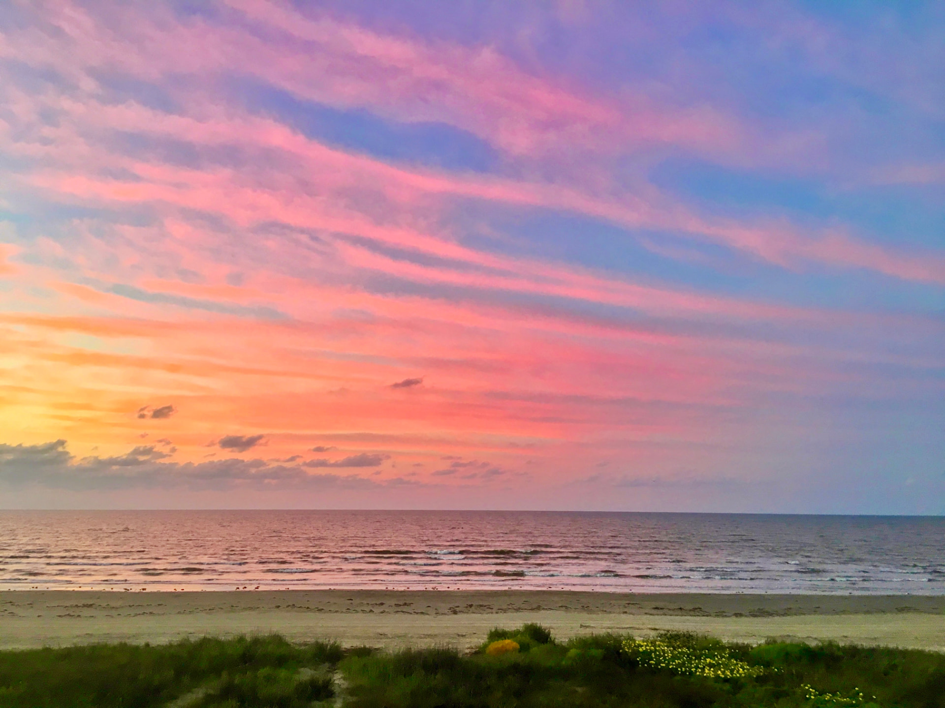 Cotton Candy Sky Over the Dunes