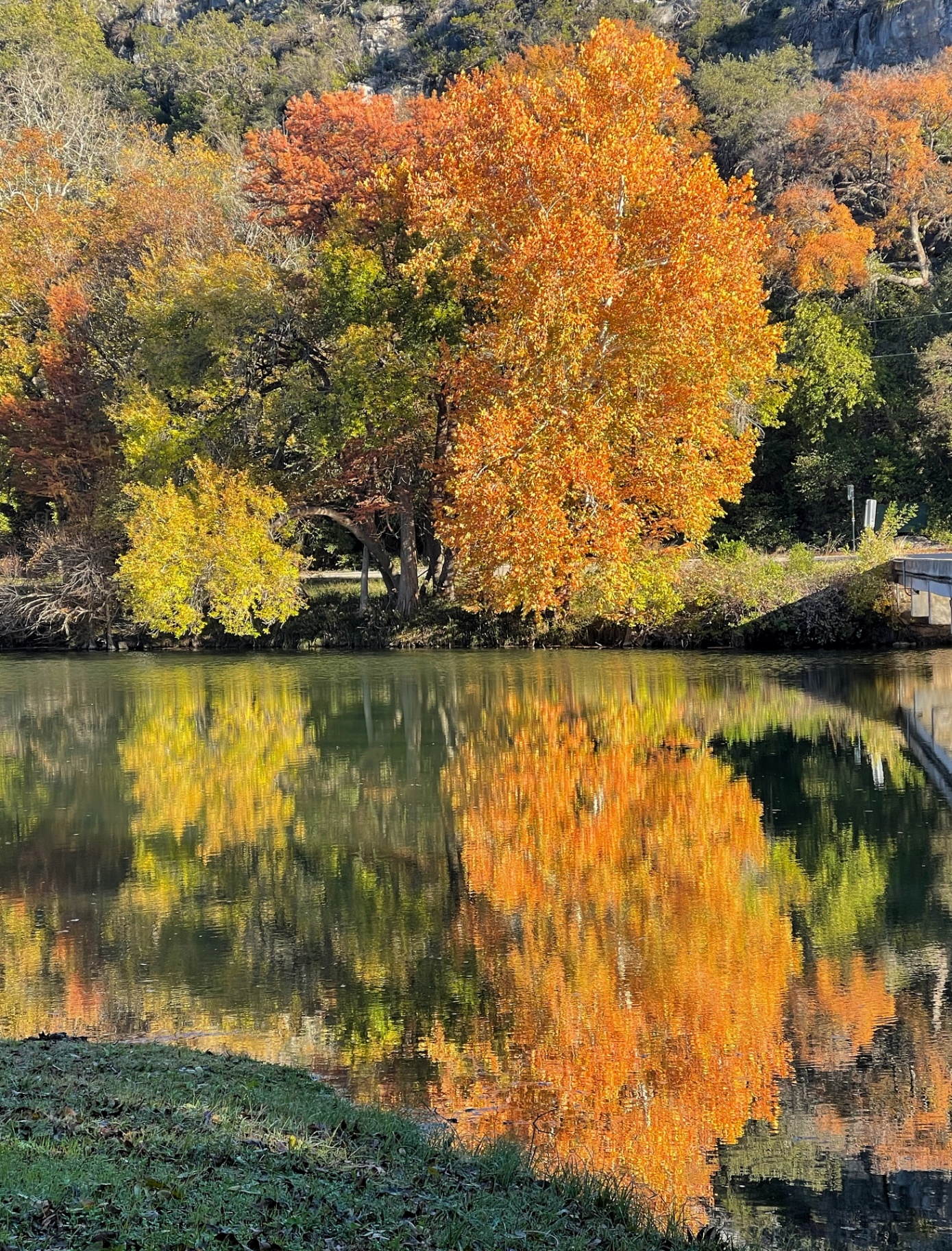 Orange Autumn Reflection on the Guadalupe