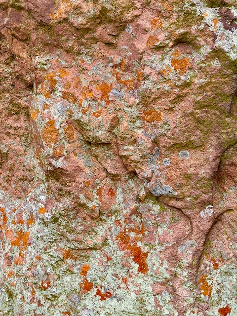 Pink & Sage Lichen Wash