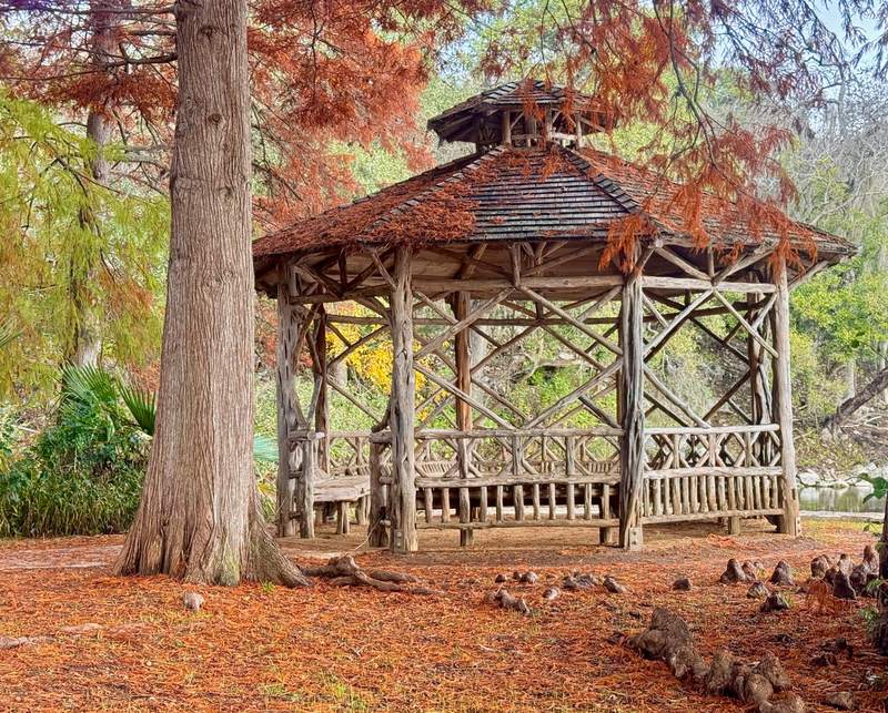 Landa Park Gazebo in Fall Cypress