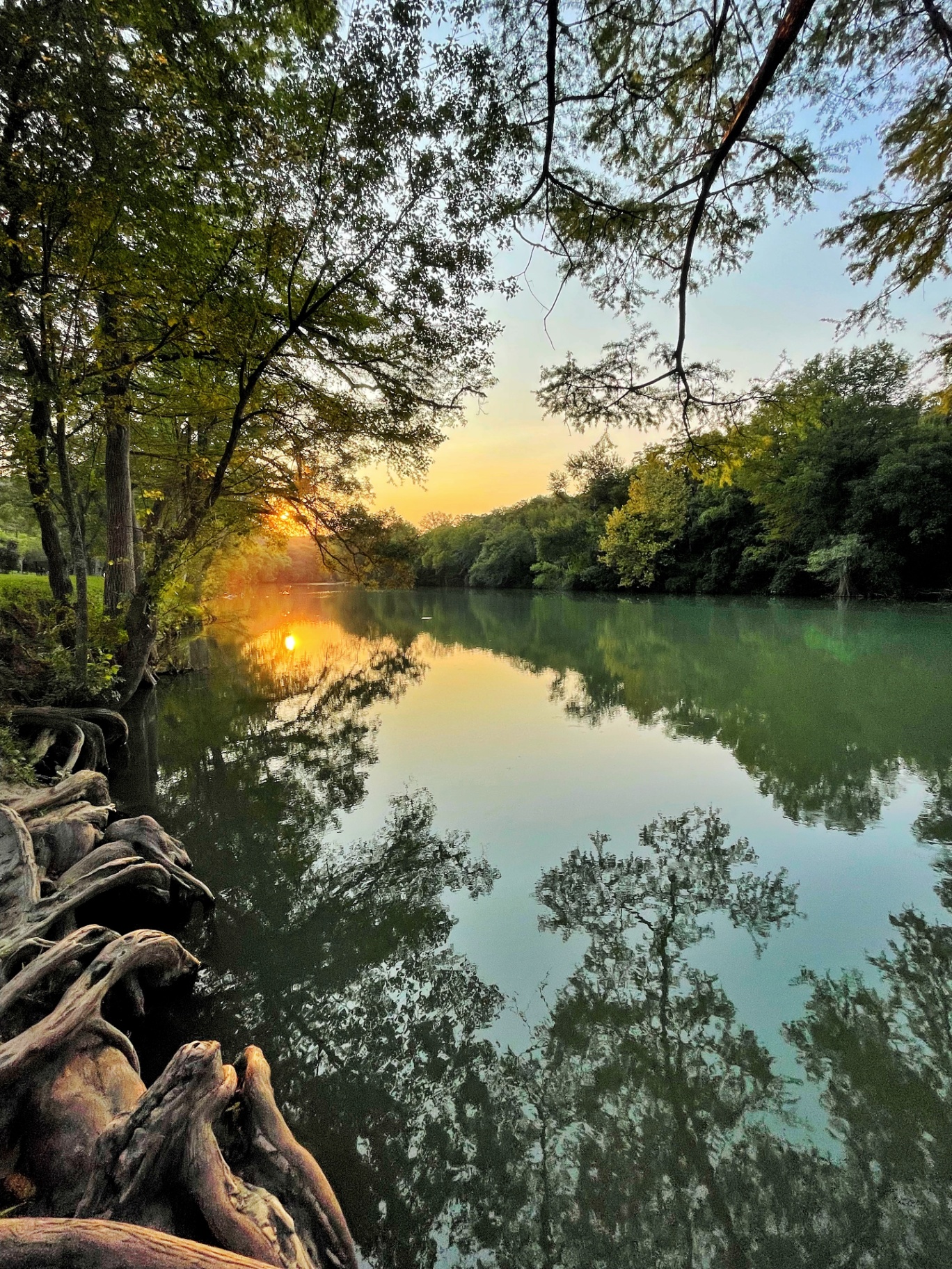 Golden Sunrise on the Guadalupe at River Road
