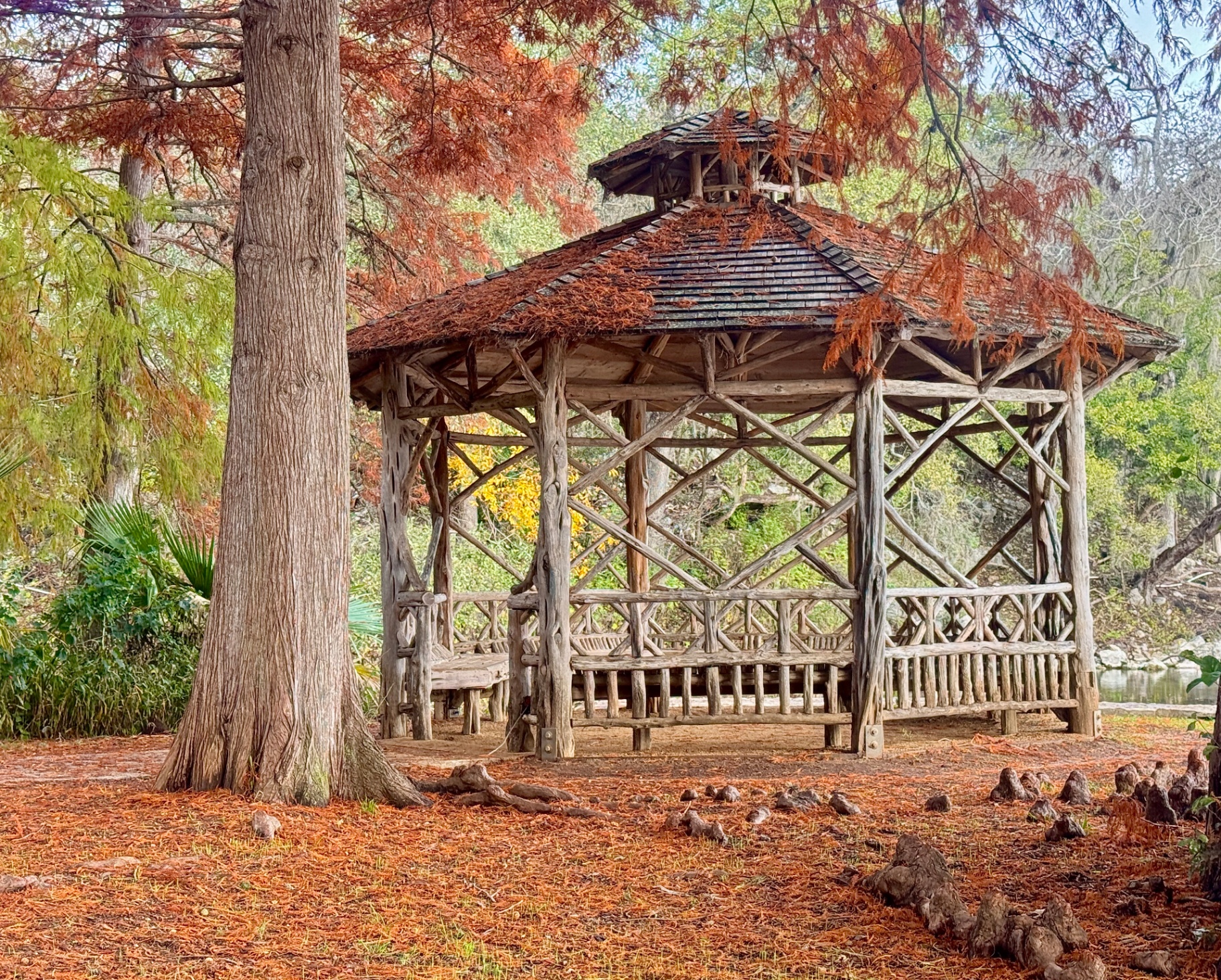 Landa Park Gazebo in Fall Cypress