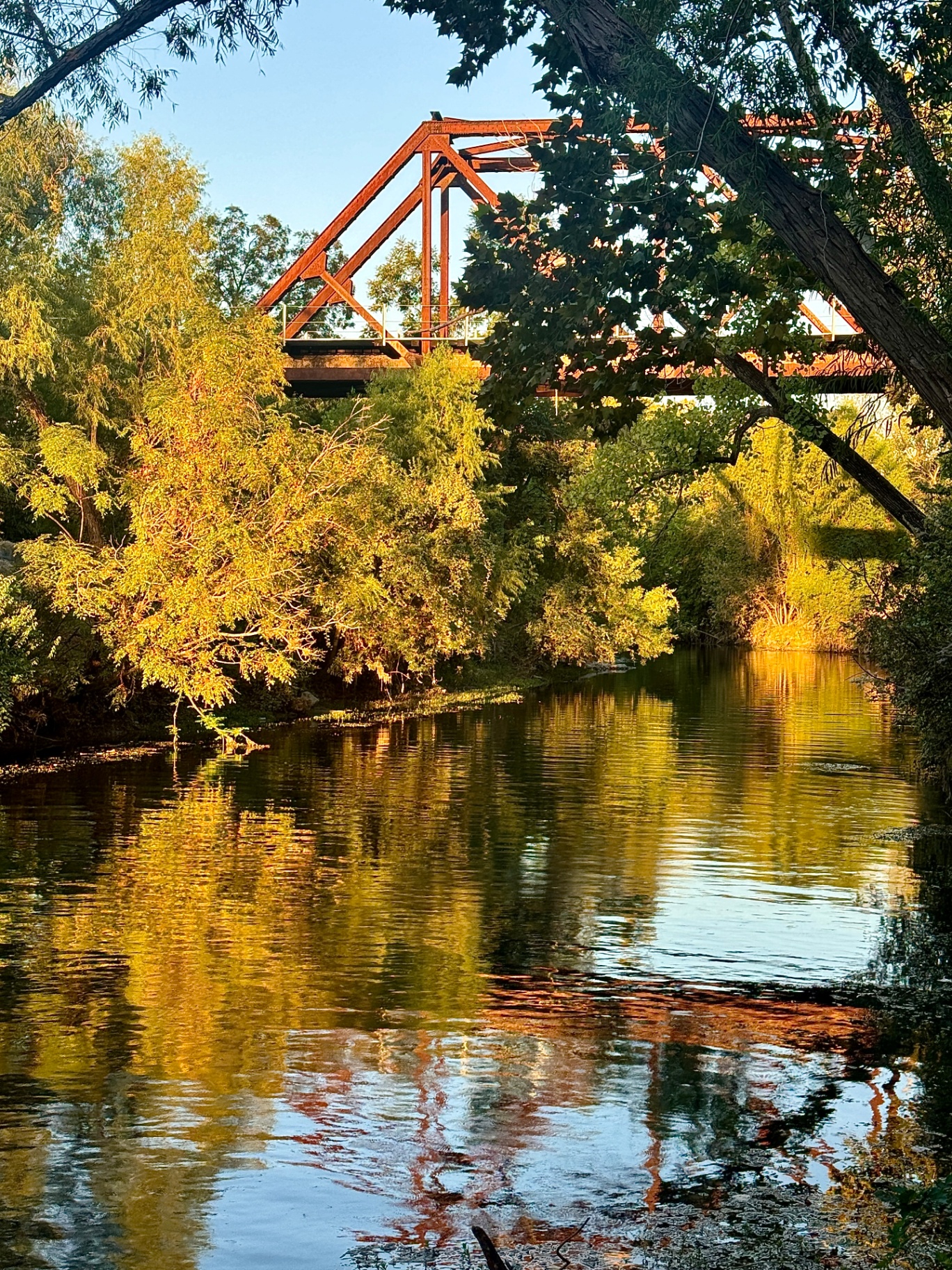 Rusted Trestle Over the Comal at Sunrise