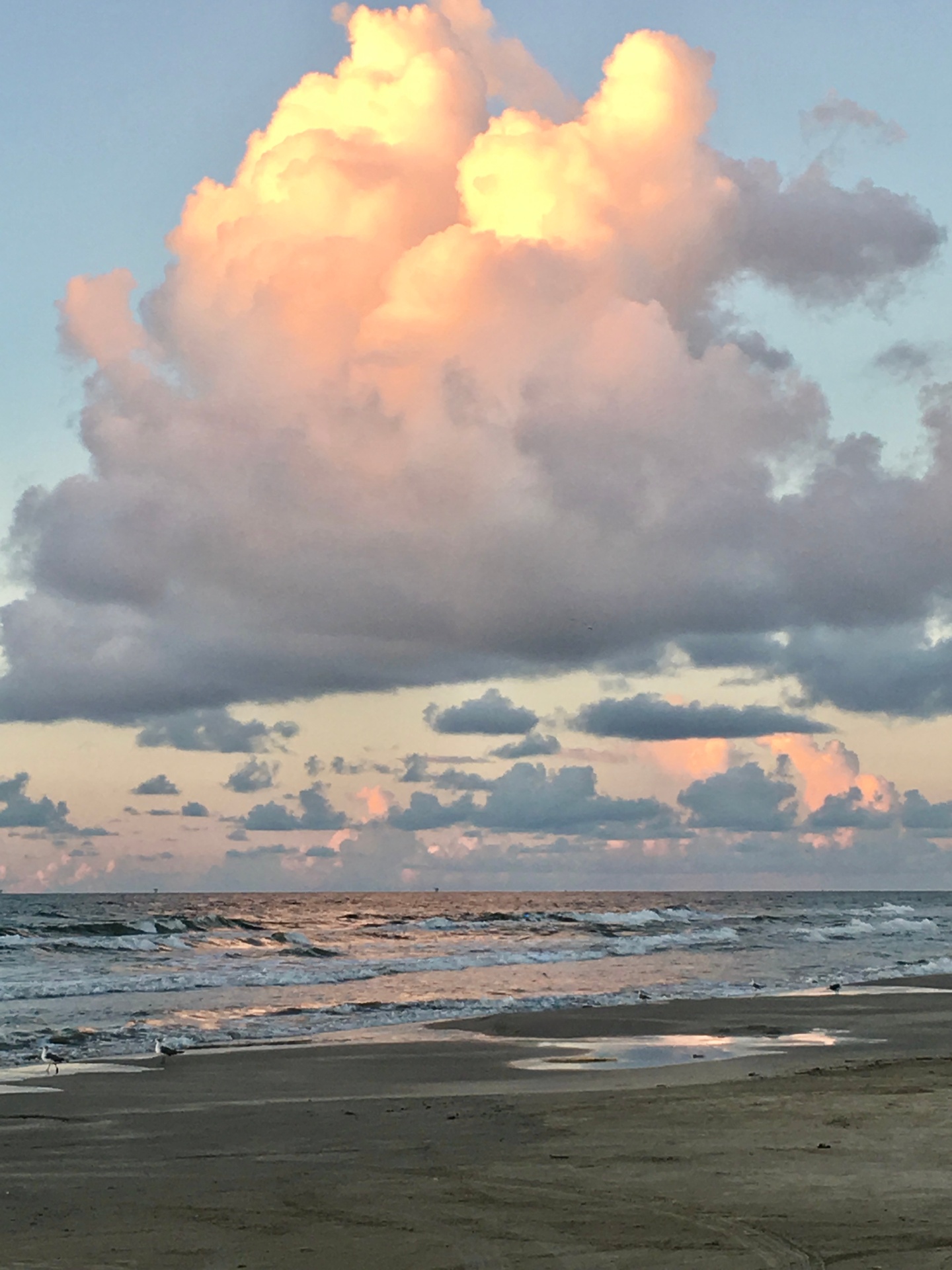 Pink Cloud Over the Sandbar