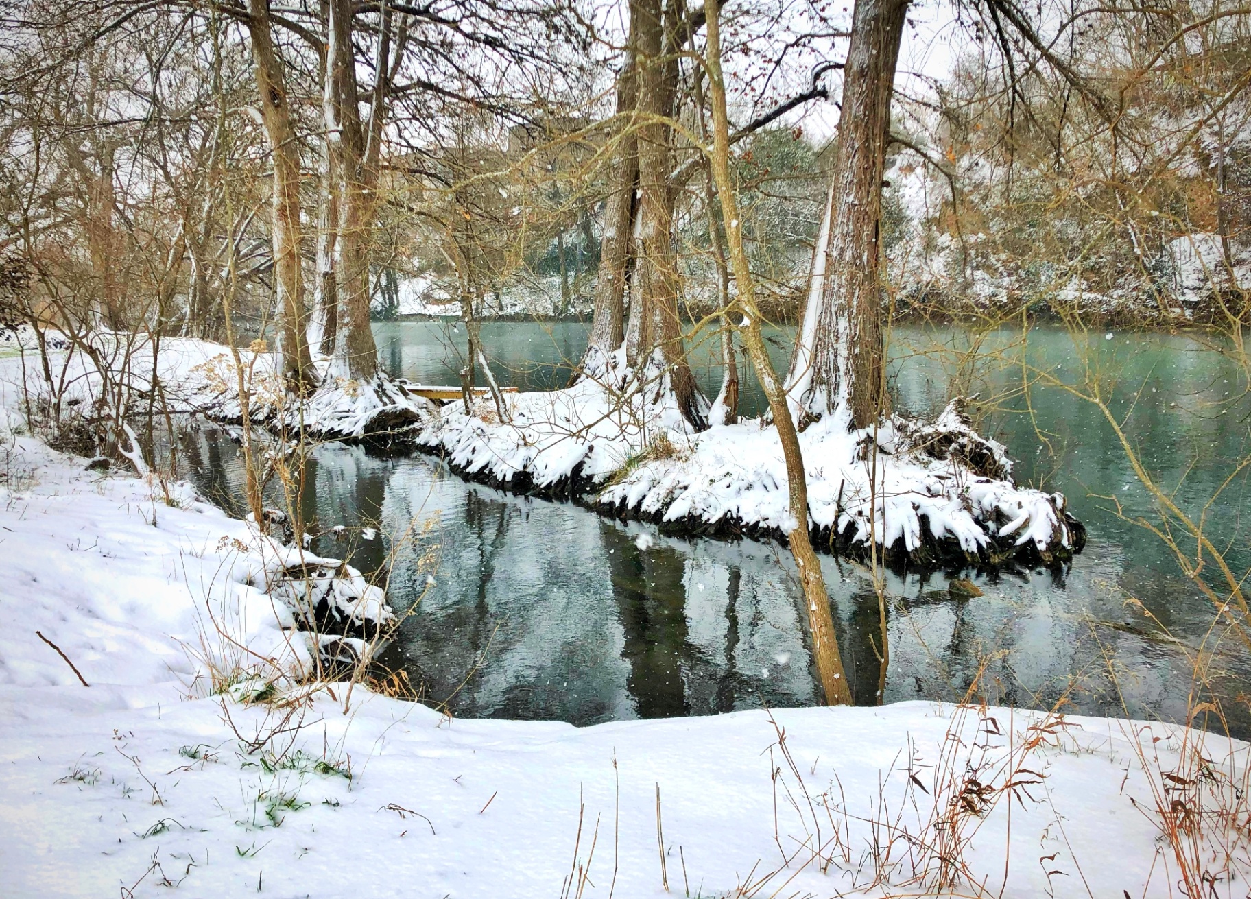 Guadalupe in Snow