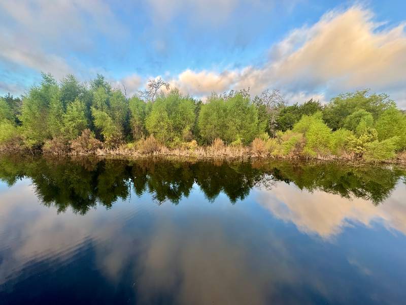 Mirror Pool at Joshua Springs