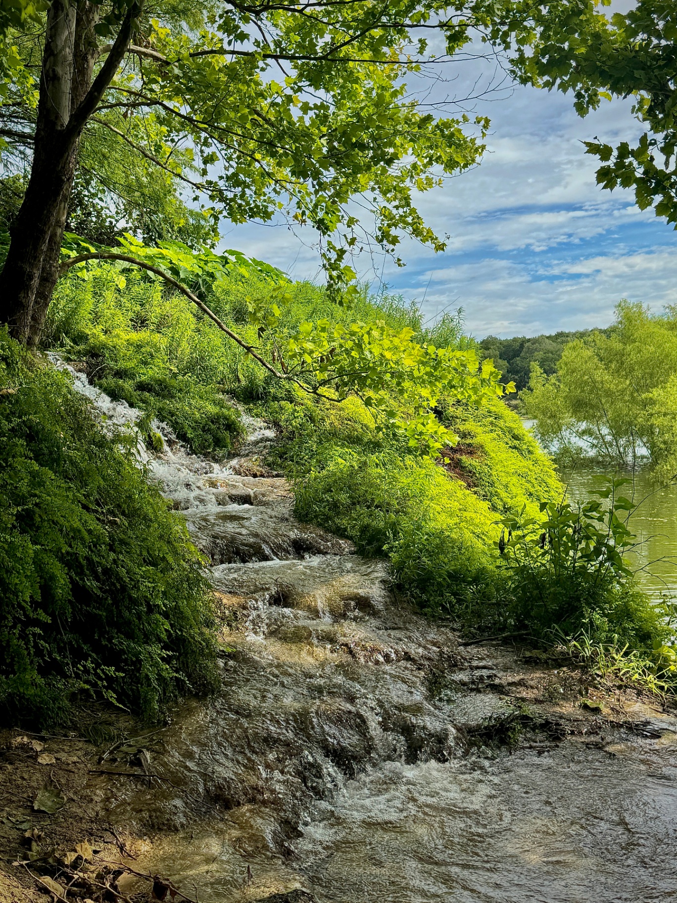 San Gabriel Falls in Georgetown