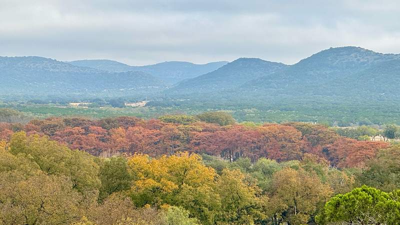 Misty Fall Vista at Garner