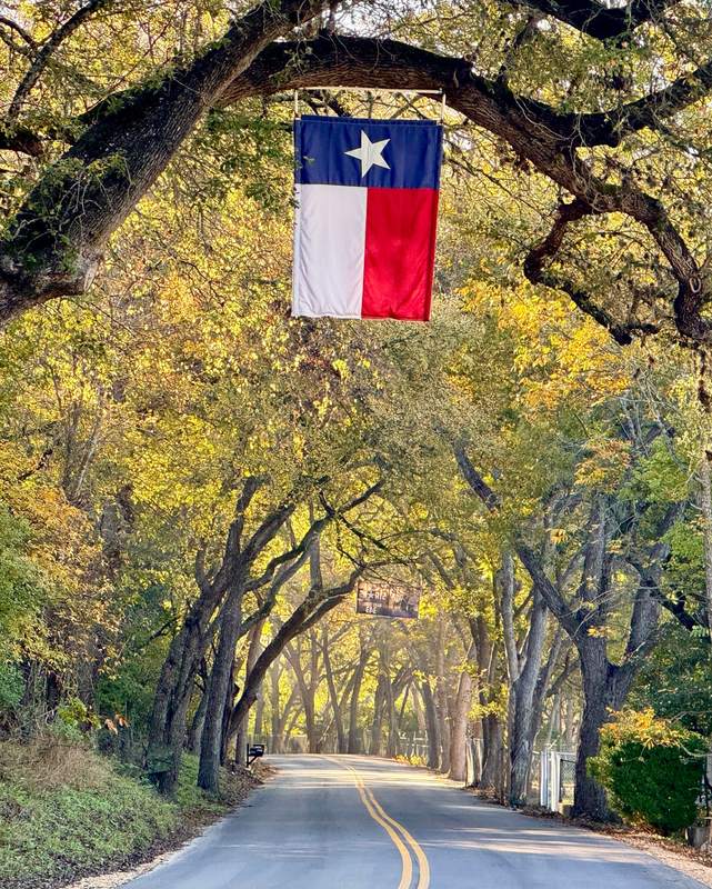 Flag Road Through the Oaks