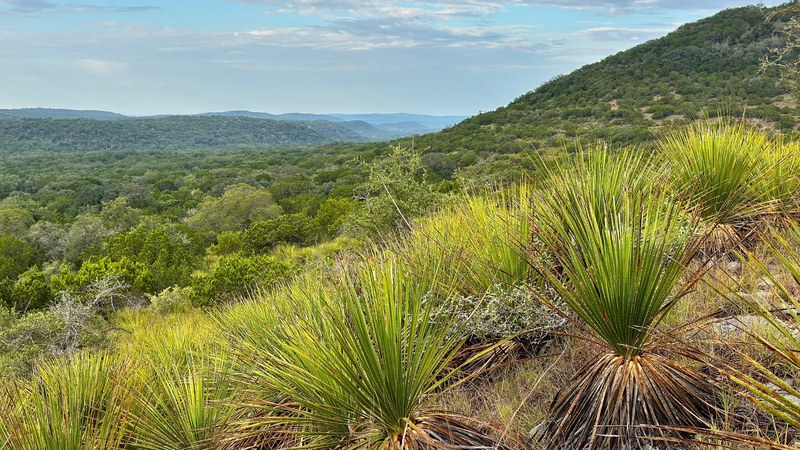 Sotol Ridge Overlook