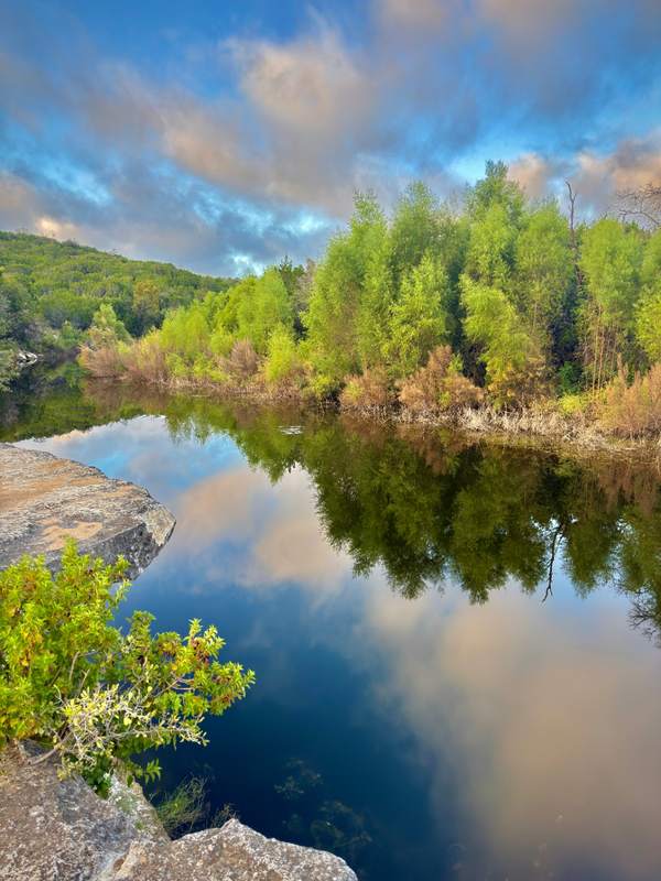 Cypress Reflection from the Ledge
