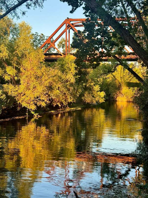 Rusted Trestle Over the Comal at Sunrise