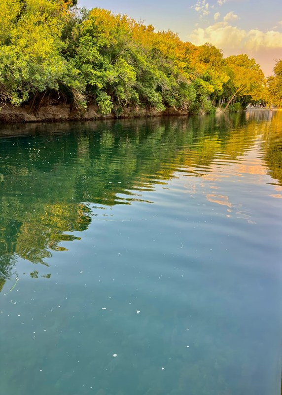 Comal Reflections at Prince Solms Park