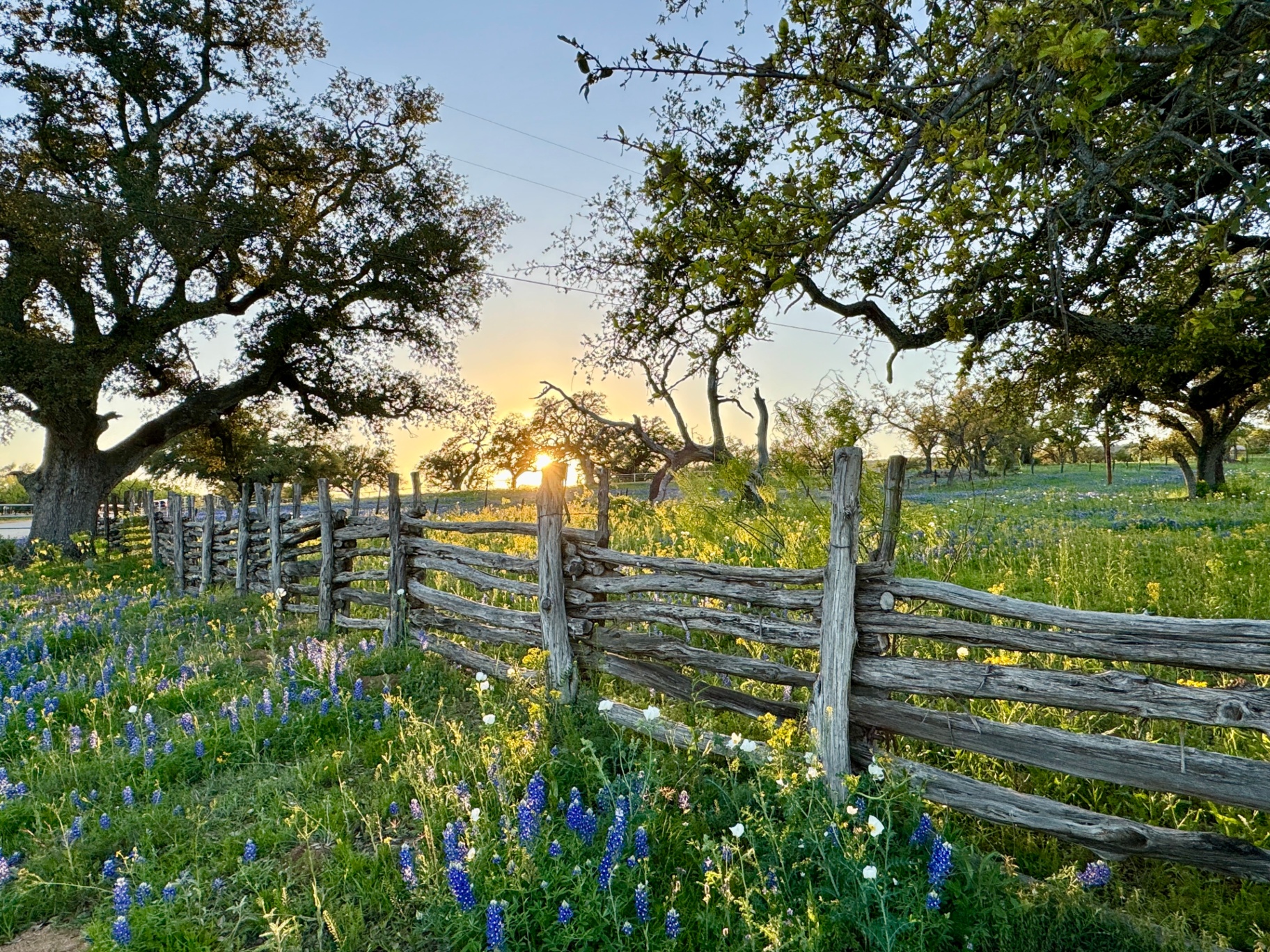 Texas Hill Country