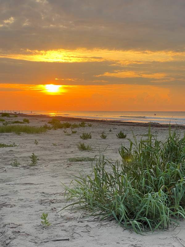 Dune Grass at Sunrise