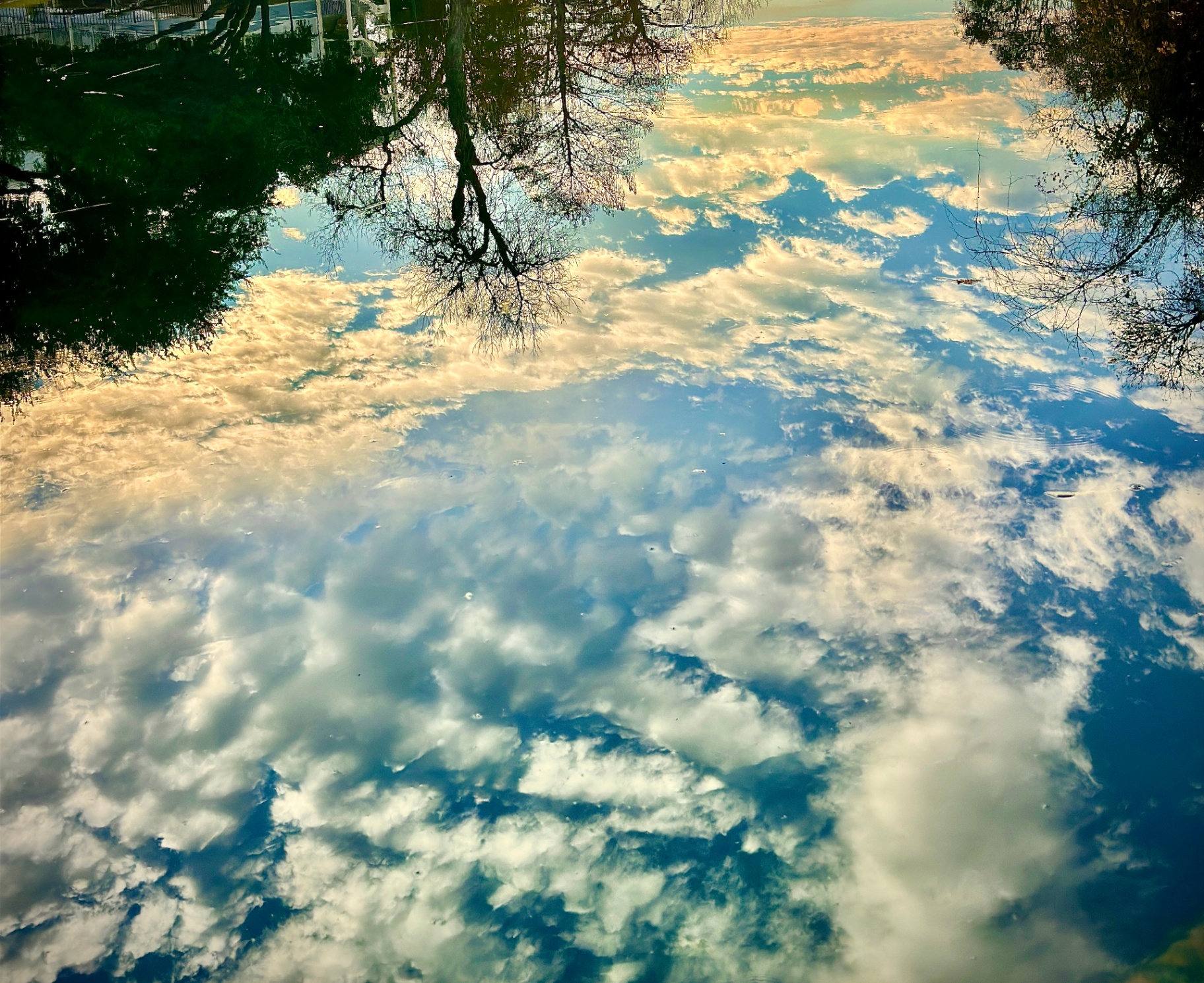 Sky in Still Water