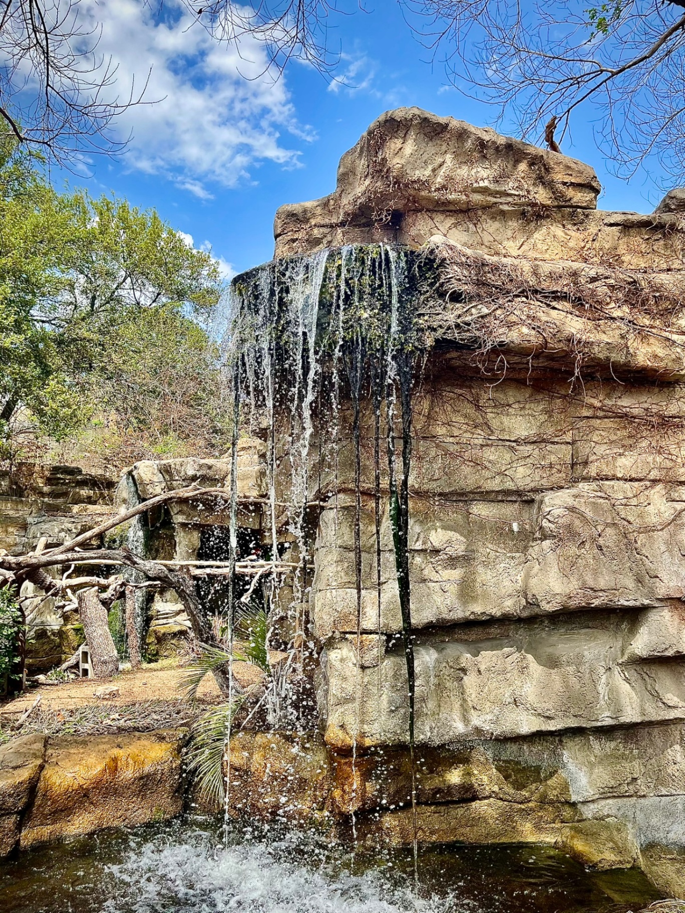 Stone Waterfall with Vines