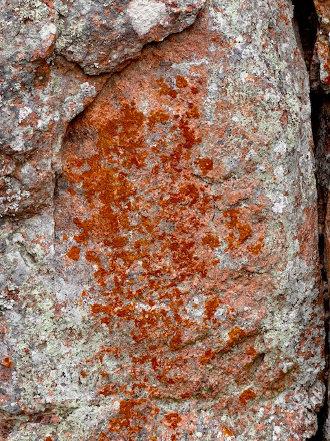 Rust-Speckled Boulder