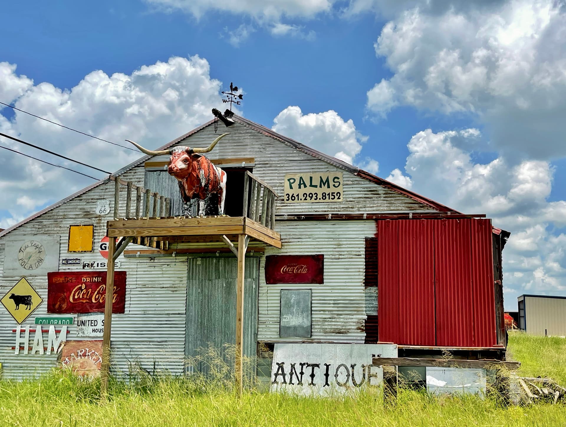 Antique Barn with Longhorn, Yoakum